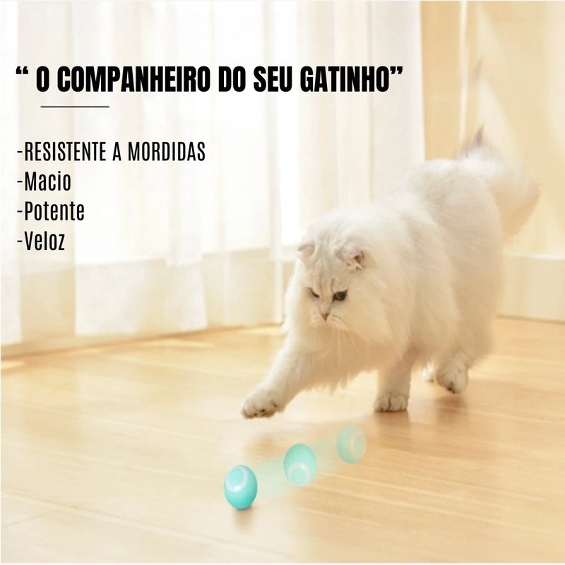 Bola mágica rolante automática para cães e gatos