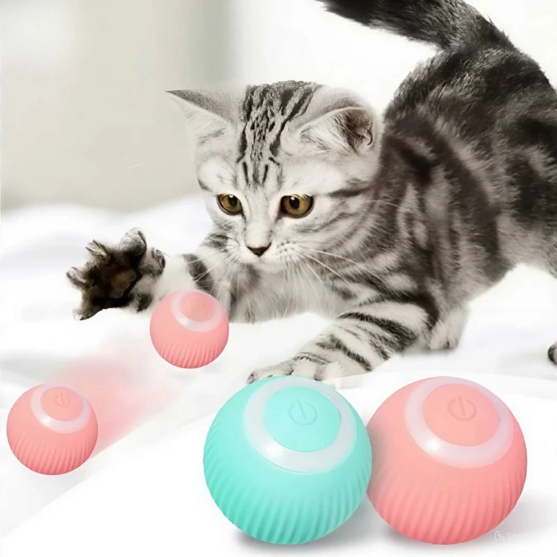 Bola mágica rolante automática para cães e gatos