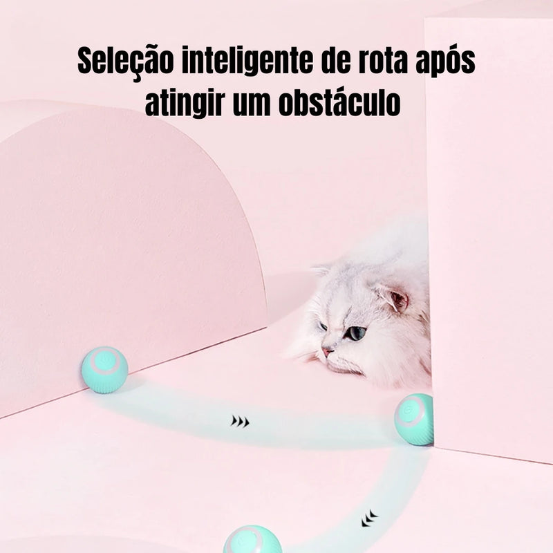 Bola mágica rolante automática para cães e gatos